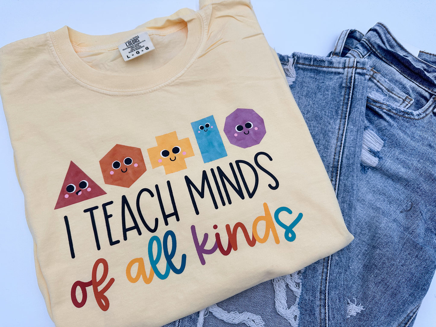 I teach minds of all kinds