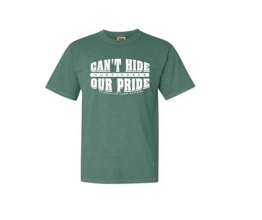Can't hide Our Pride tee (Comfort Colors)