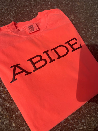 Abide Puff Screen Printed Tee